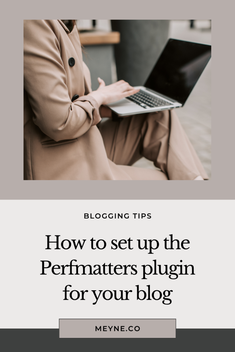 How to set up the Perfmatters plugin for your blog